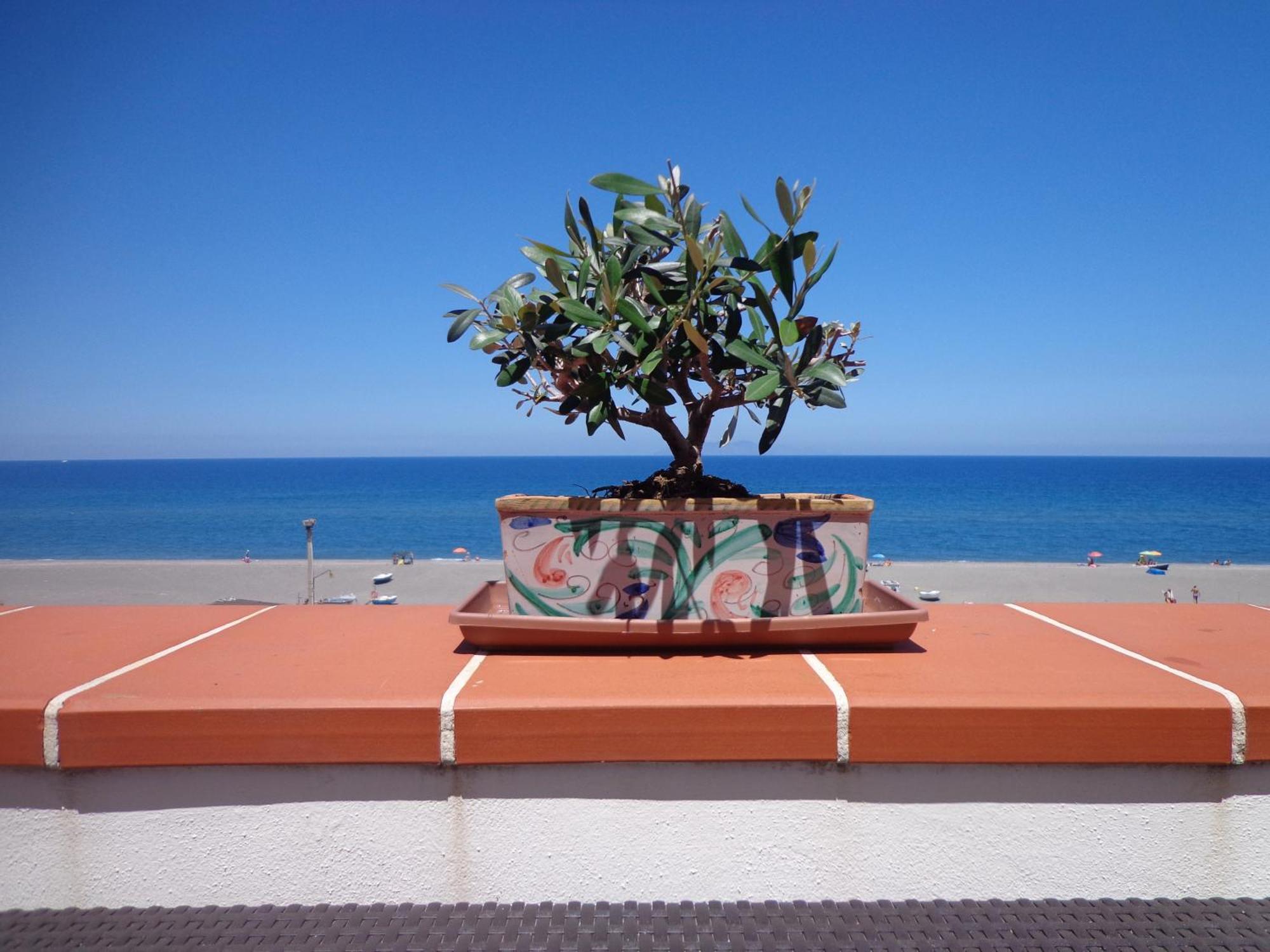 Vacanze Al Mare Patrizia'S Sweet Home Terme Vigliatore Dış mekan fotoğraf